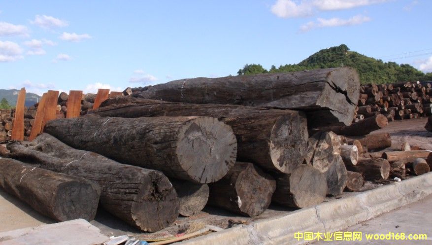 ���vɽ����̴