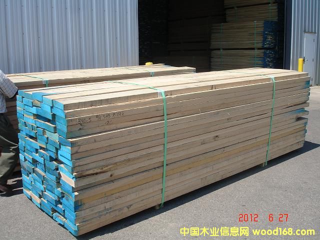 �t��ľ��Ԕ��(x��)��B