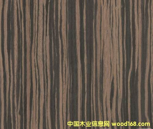 ��̴5813DS��Ԕ��(x��)��B