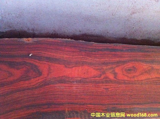 ī����΢���S̴��Ԕ��(x��)��B