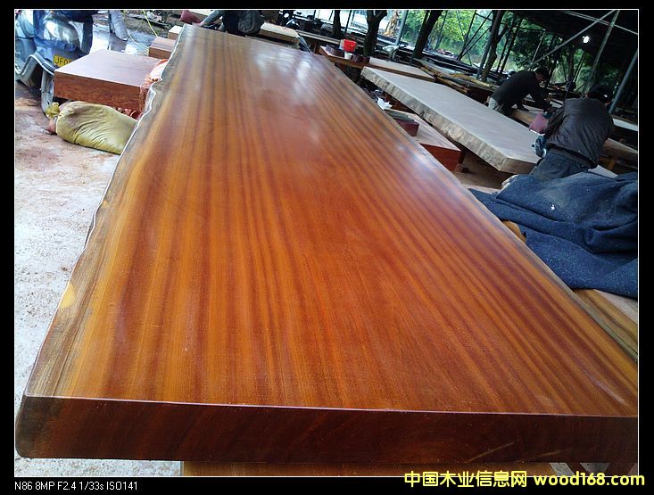 ��ľԭľɳ�������