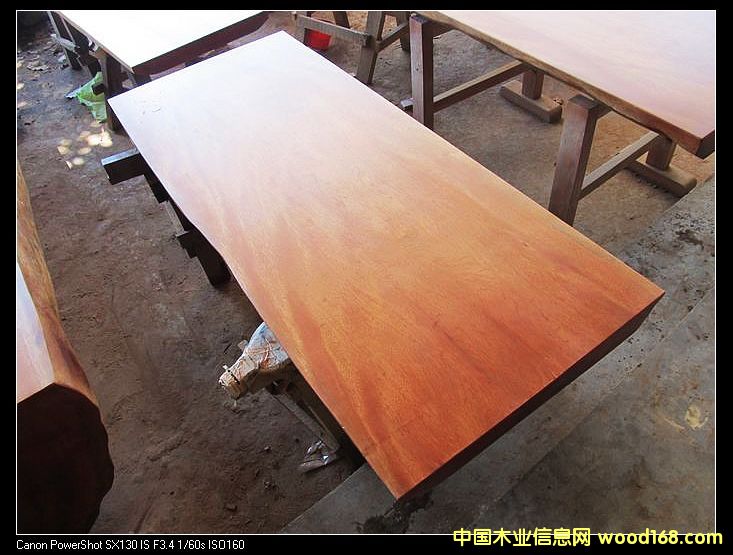 ��ľԭľ�ݻ�����