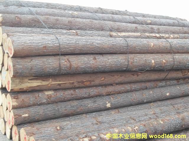 �t�ɵ�Ԕ��(x��)��B