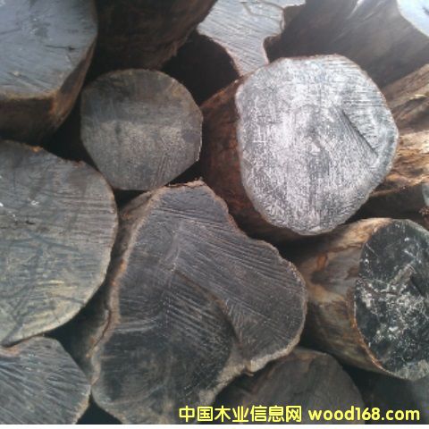    ���_�TTubi���~��̴ԭľ