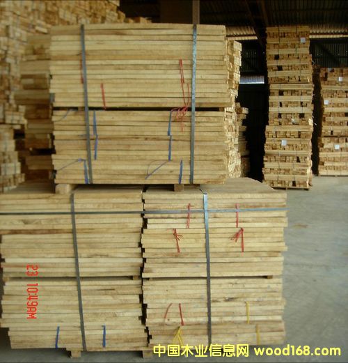 橡膠木的詳細(xì)介紹