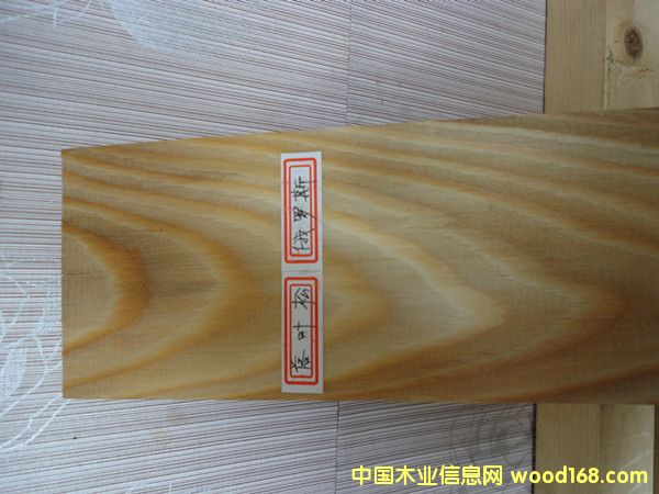 落葉松的詳細(xì)介紹