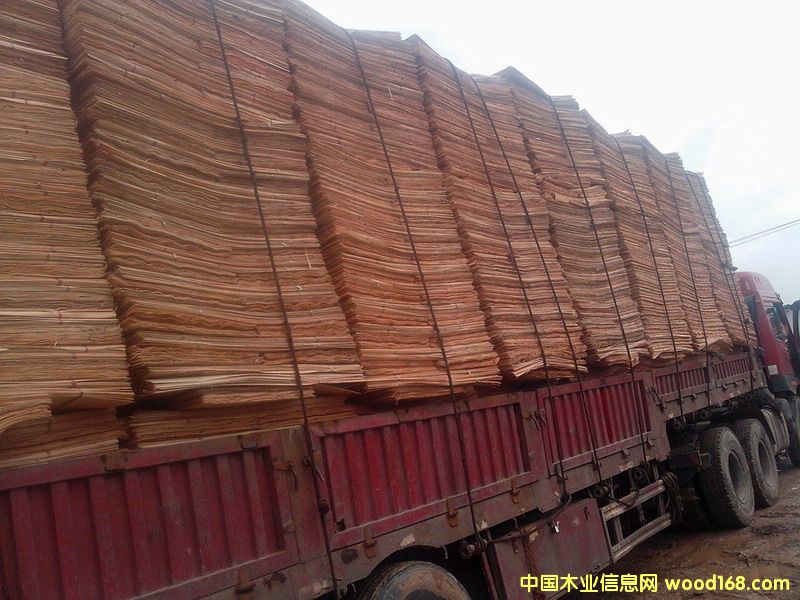 ��ľ�ΰ��Ԕ����B