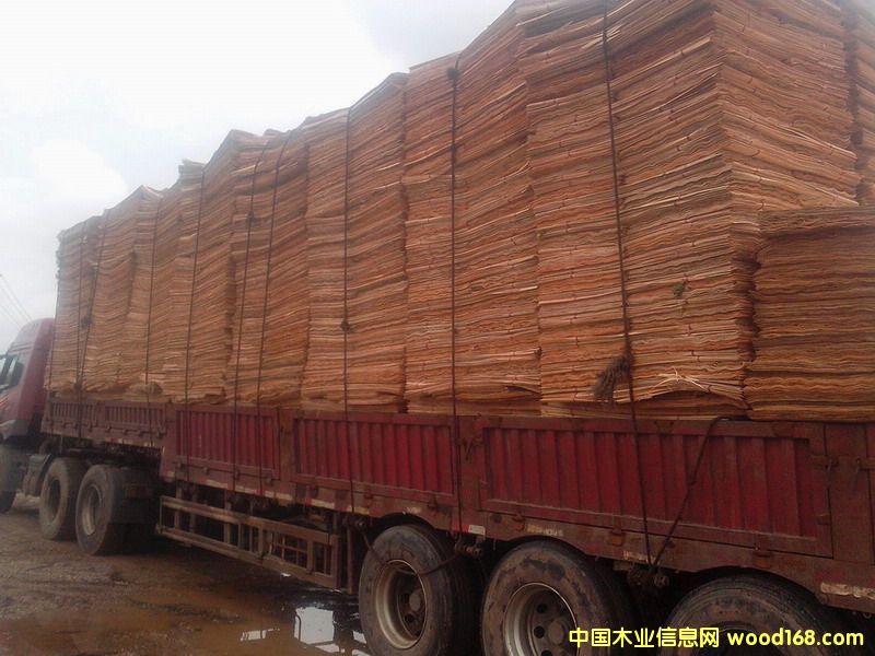 ��ľ�ΰ��Ԕ����B