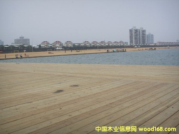 ������������ľ�Hˮƽ�_(t��i)��Ԕ��(x��)��B