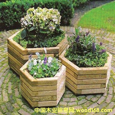 ��������ľľ����2��Ԕ��(x��)��B