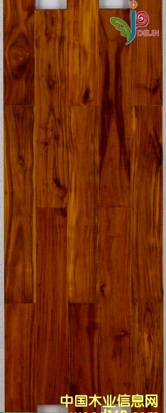 相思木指接的詳細(xì)介紹