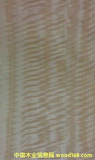 ��Ӱ��Ԕ��(x��)��B