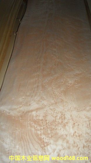 ��ľȸ�۵�Ԕ��(x��)��B