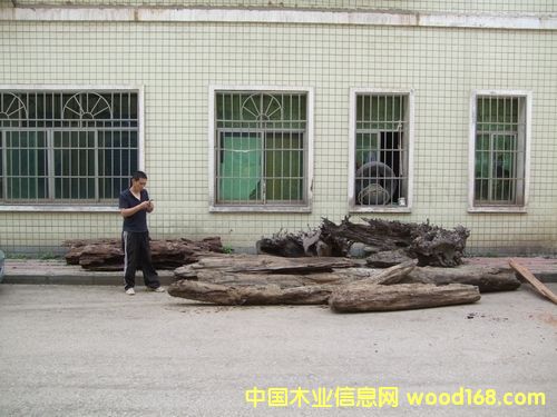 ꎳ���z�ľ��Ԕ����B