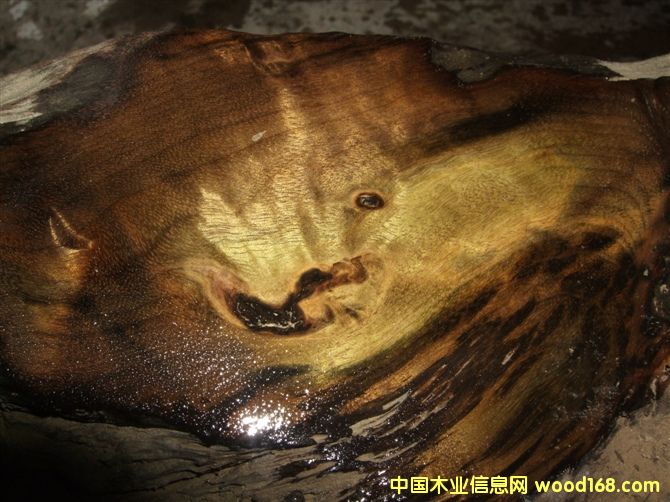 ꎳ���z�ľ��Ԕ����B