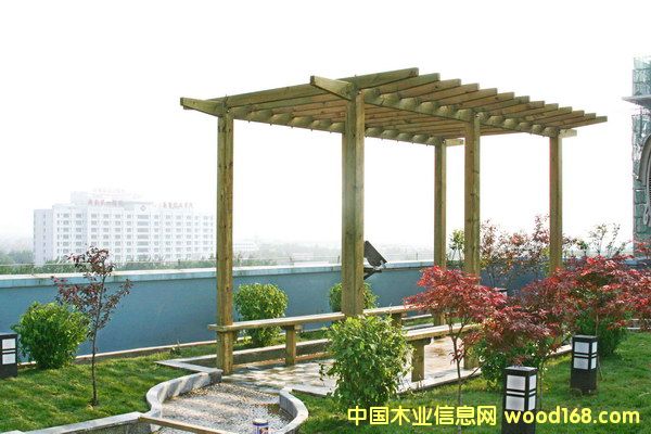 ����ľ�͵�Ԕ����B