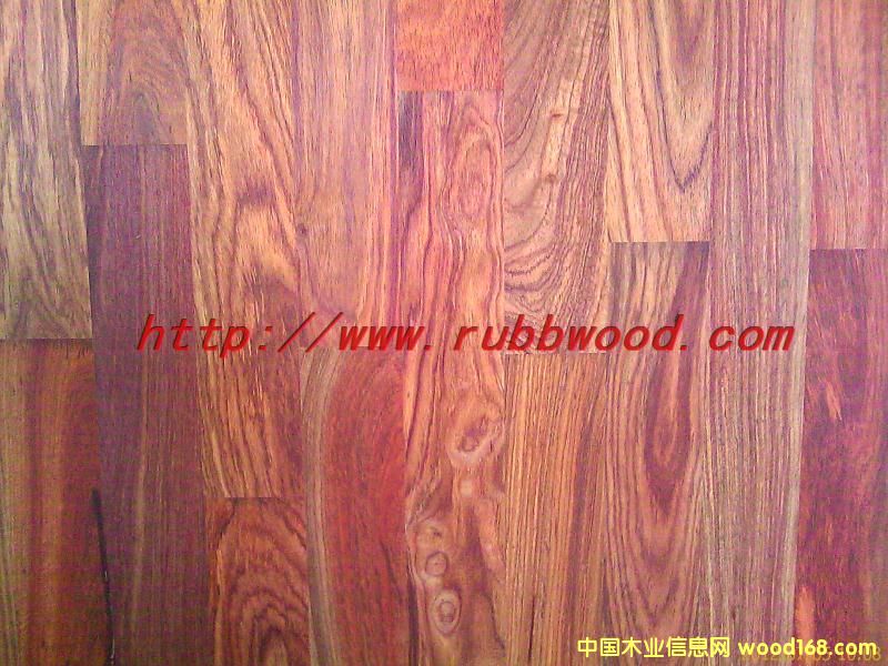 �����S����ָ��ƴ���Ԕ��(x��)��B