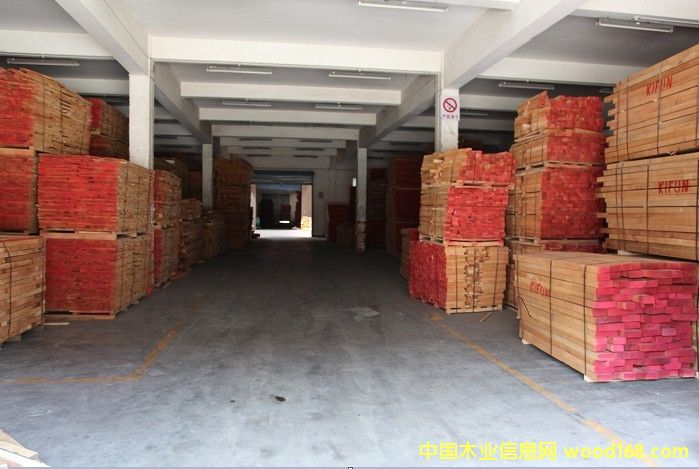 櫸木的詳細(xì)介紹