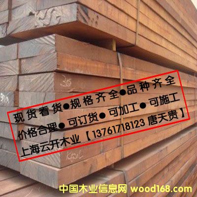 巴勞木的詳細介紹