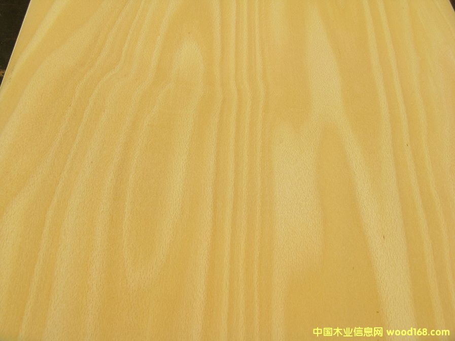 ��ľ����Ԕ��(x��)��B