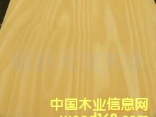 ��ľ����Ԕ��(x��)��B