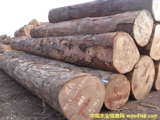 Kosipo ��������������