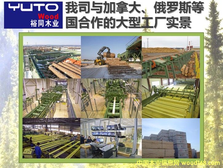 加松的詳細(xì)介紹