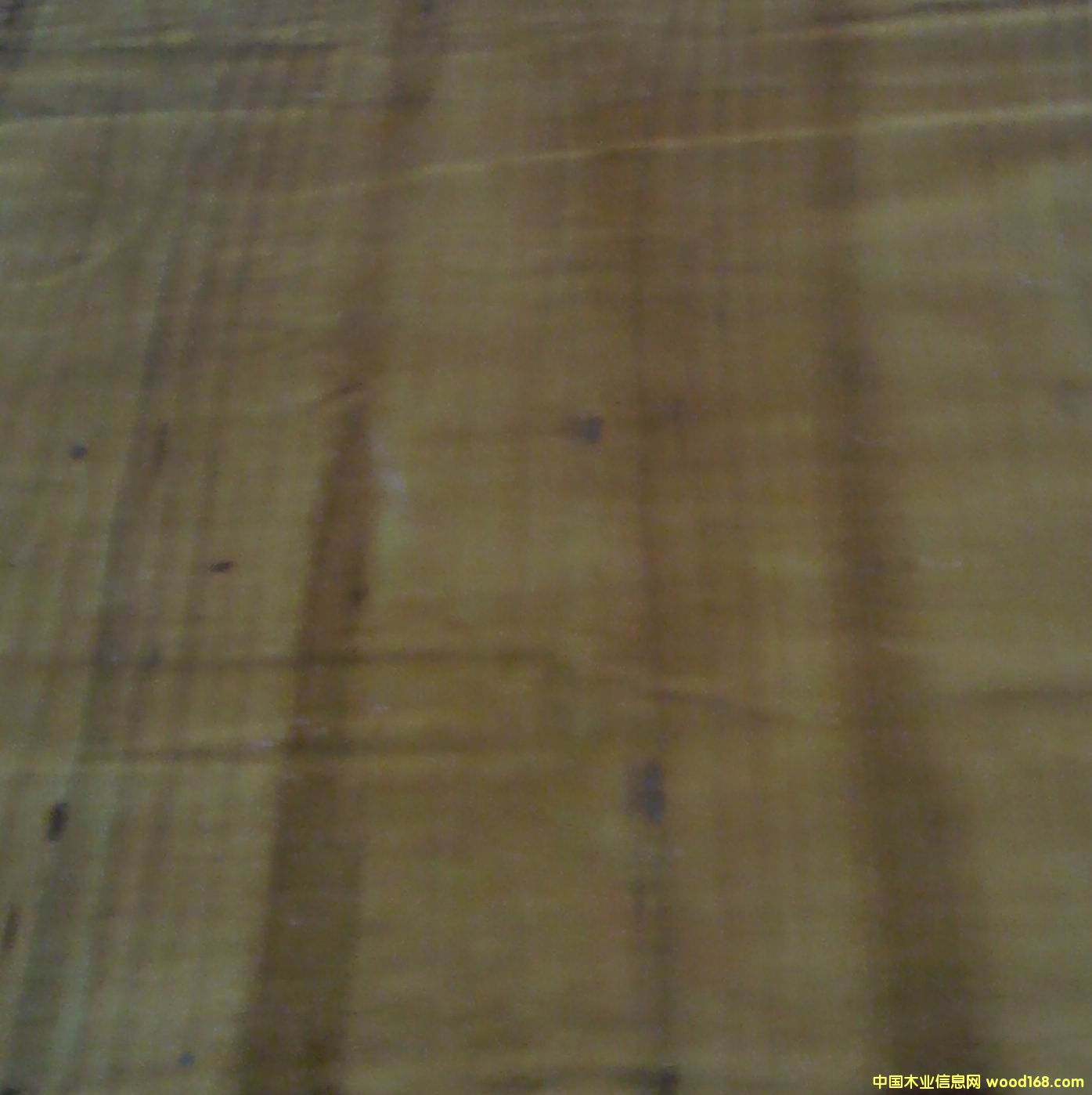 ��(gu��)�a(ch��n)���Sģ���Ԕ��(x��)��B