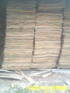 ��ľо���Ԕ��(x��)��B