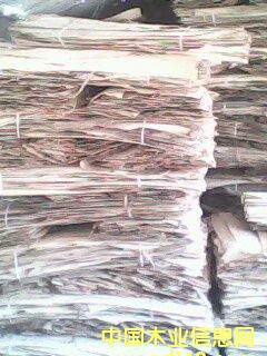 ��ľ�aƤ��Ԕ��(x��)��B