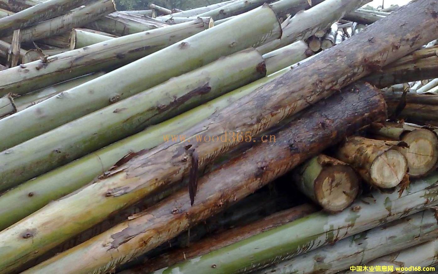 ���(sh��)��Ԕ��(x��)��B