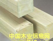 [��]   ���_ľ�I(y��) �M�ڷ��mľ ����