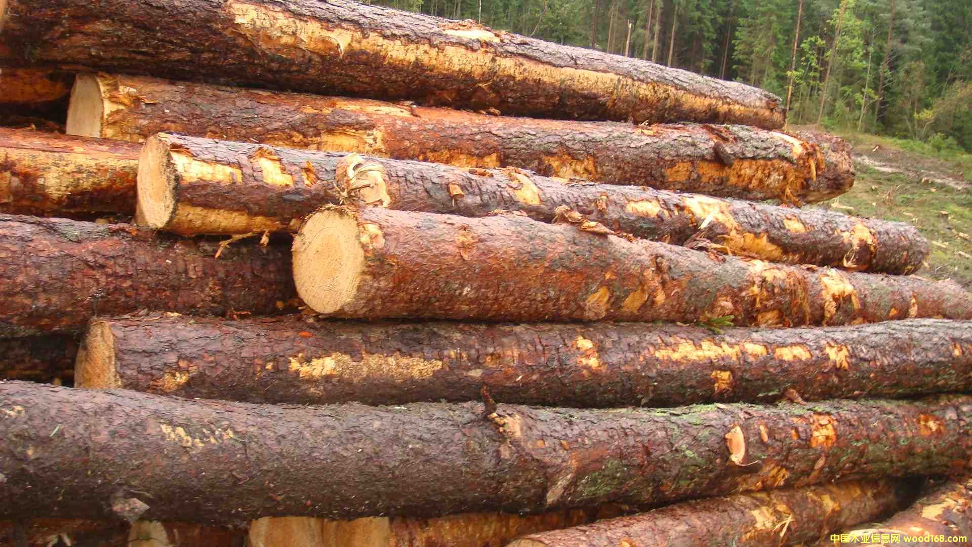 �W�޳��ɵ�Ԕ��(x��)��B