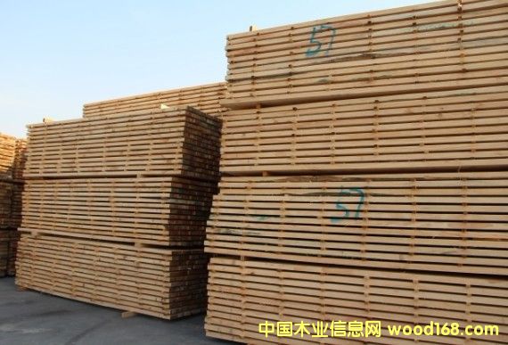 ݗ���ɟo��(ji��)��ɰ��