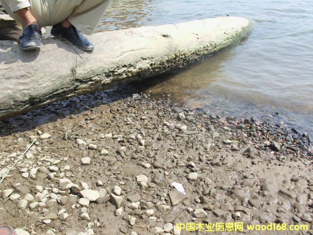 ꎳ�ľ75��Ԕ��(x��)��B