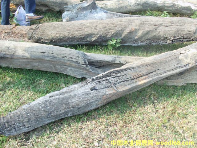 ꎳ�ľ46��Ԕ��(x��)��B