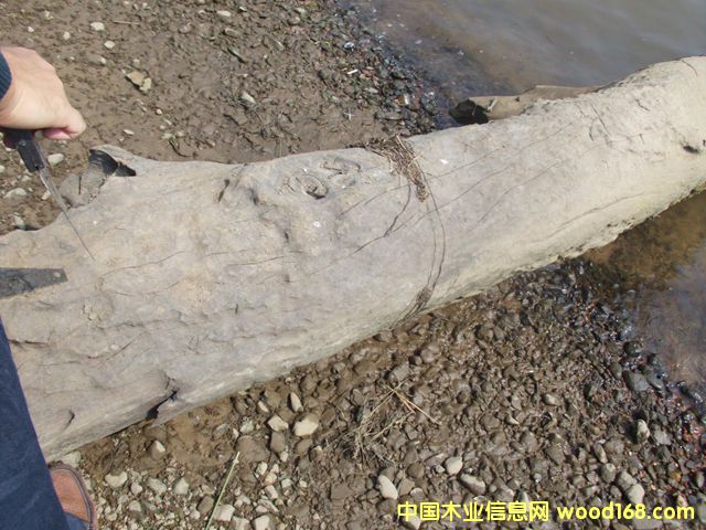 ꎳ�ľ64��Ԕ��(x��)��B