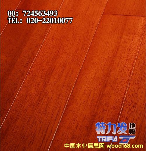 �����ی�ľ�ذ�