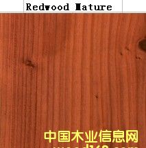 Red Wood Mature��Ԕ����B