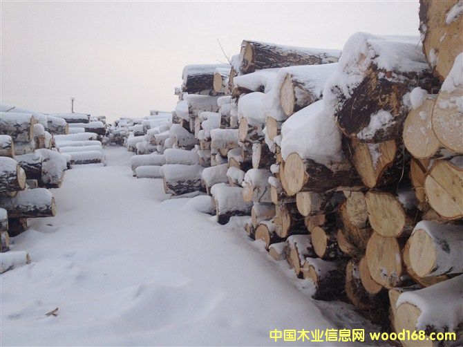 ���_˹��ľ���