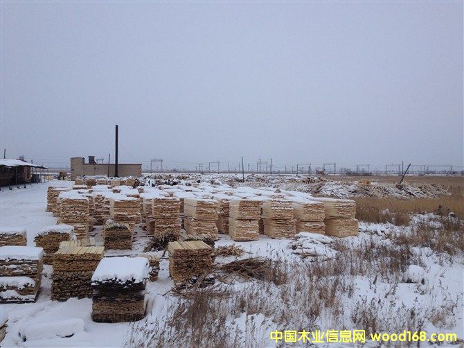 ���_˹��ľ��ĵ�Ԕ����B