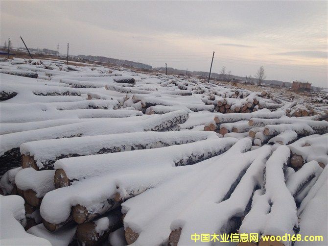 ���_˹��ľ��ĵ�Ԕ����B