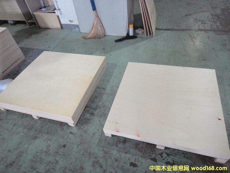 ȫ��ľ�z�ϰ��Ԕ��(x��)��B