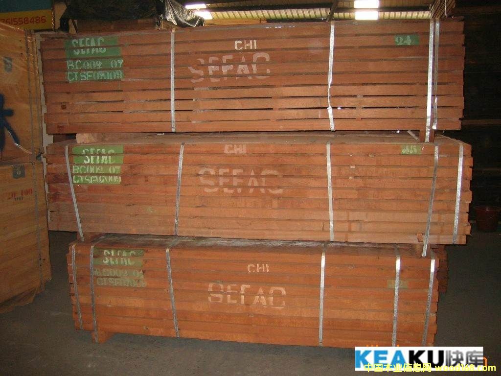 [��] �M(j��n)�ں�ɾ�Ʒɳ����SAPELLI