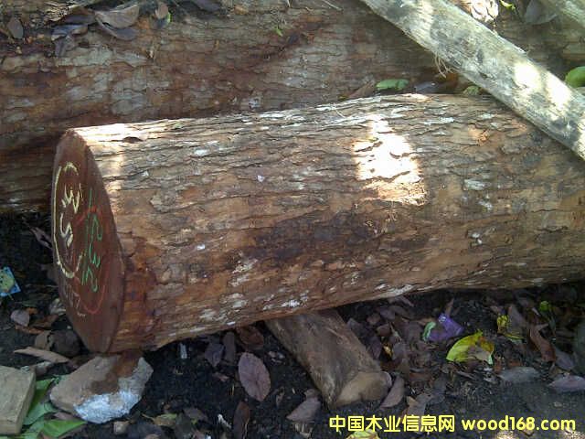 ӡ���һ�оľ��Ԕ����B