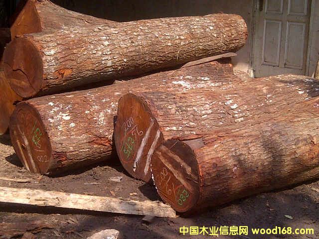 ӡ���һ�оľ��Ԕ����B