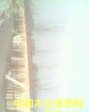 ľƤ��Ԕ����B