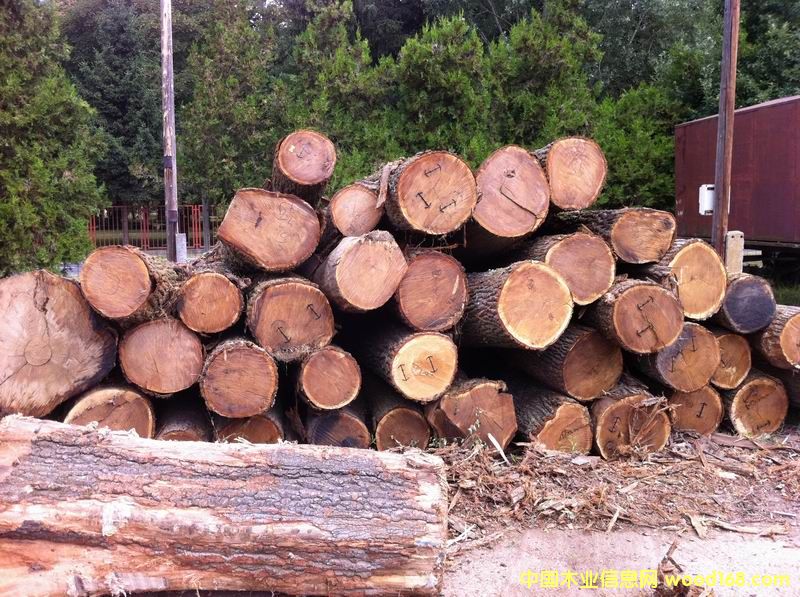 �W����ľ����ľ��Ԕ��(x��)��B