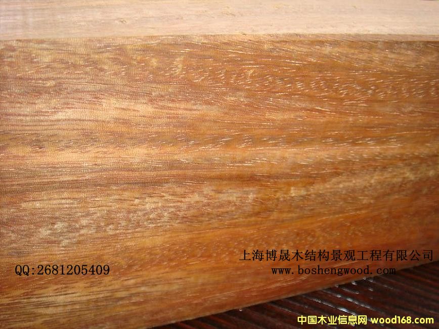 [��] ��(y��u)�|(zh��)���}�� ���޲��}����ÏS�� ����ľ�r(ji��)��