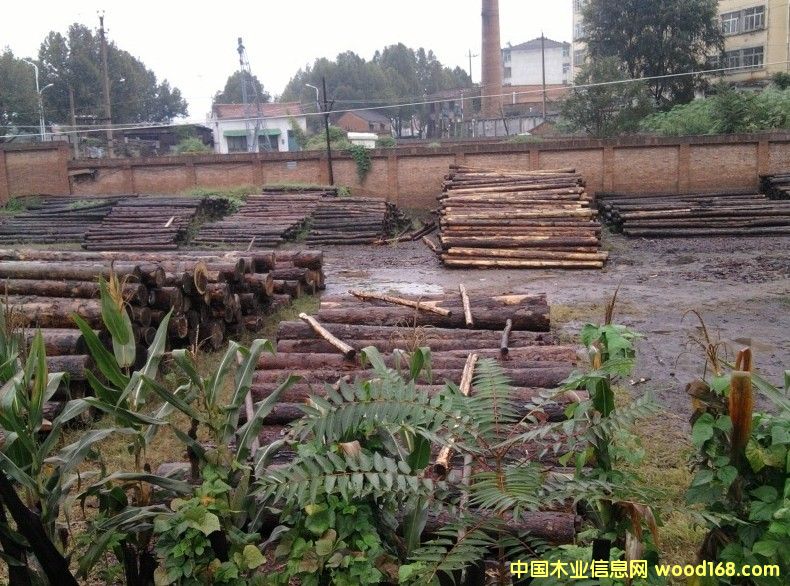 ���~��ԭľ